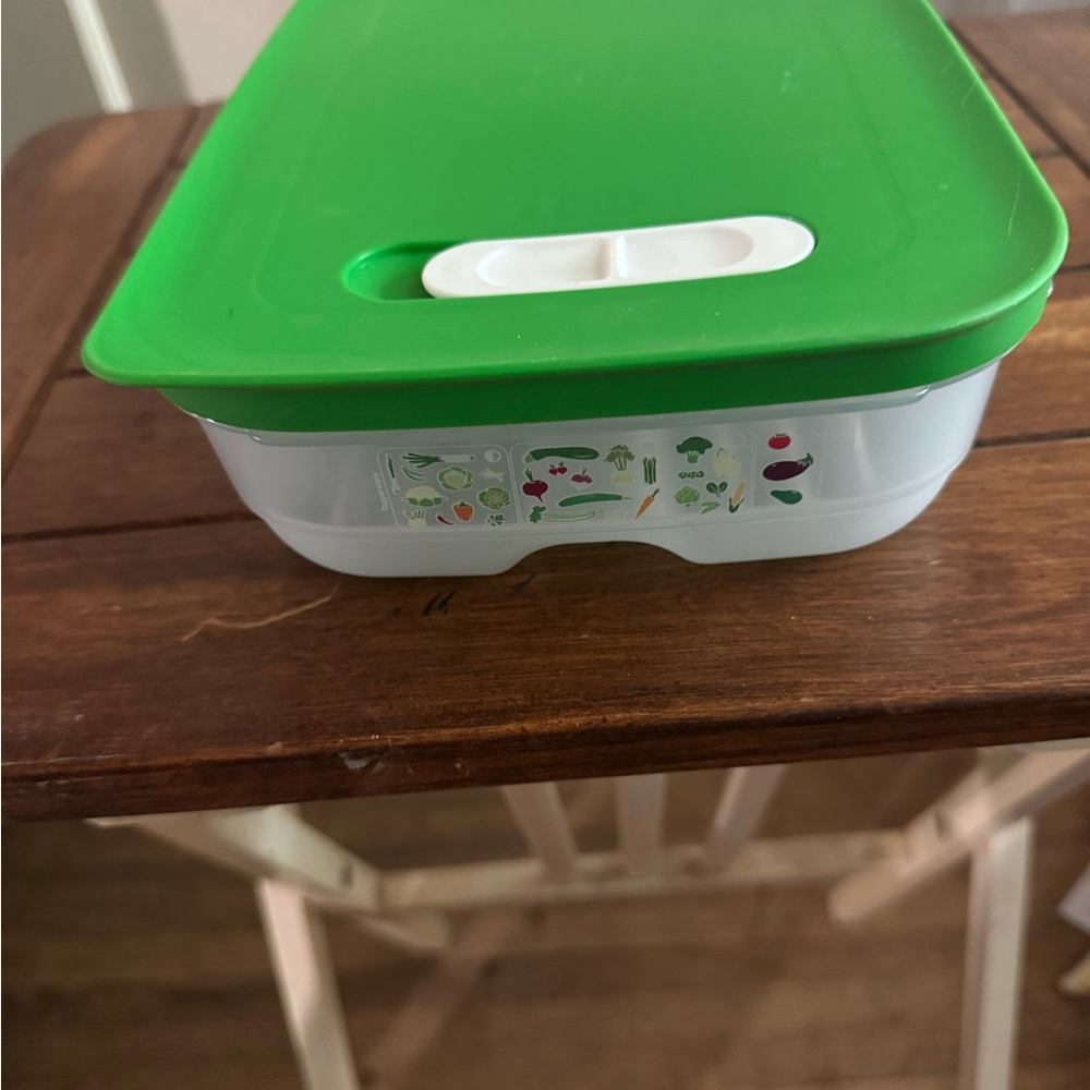 Tupperware Green and White Storage Container